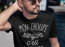 Photo de plan43100