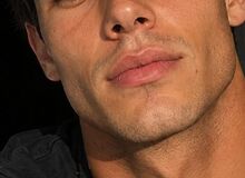Photo de evan123