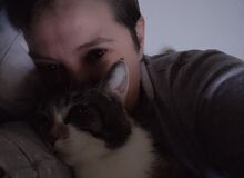 Photo de tress