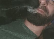 Photo de kementaris