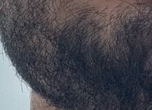 Photo de sauvage19