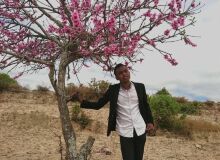Photo de nicolah