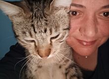 Photo de latie