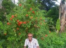 Photo de mamamia