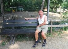Photo de pigeonscharles