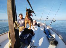 Photo de rhino518