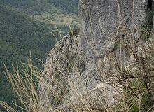 Photo de ag12