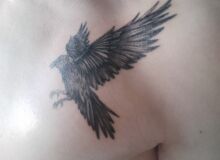 Photo de MrCrow