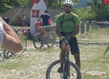 Photo de chamois