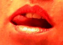 Photo de elido