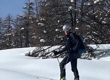 Photo de chamois