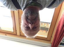 Photo de Neptune66