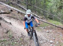 Photo de chamois