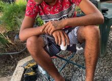 Photo de chabchab