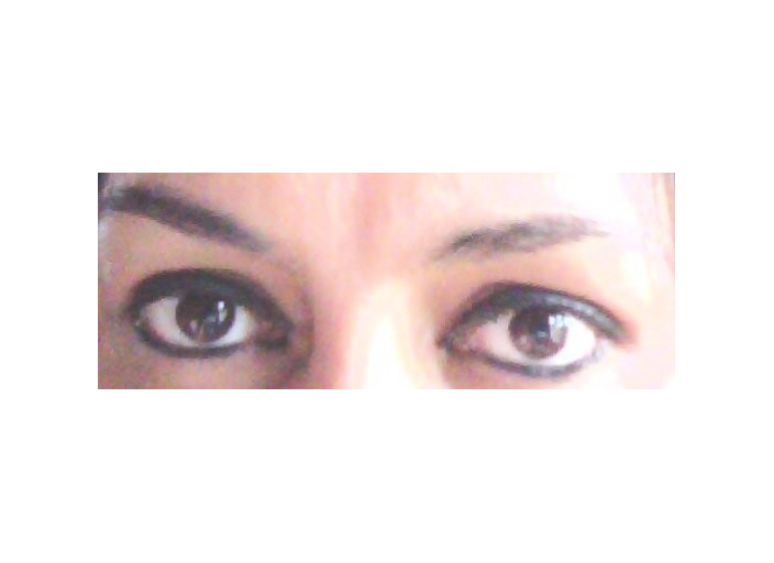 miaou04