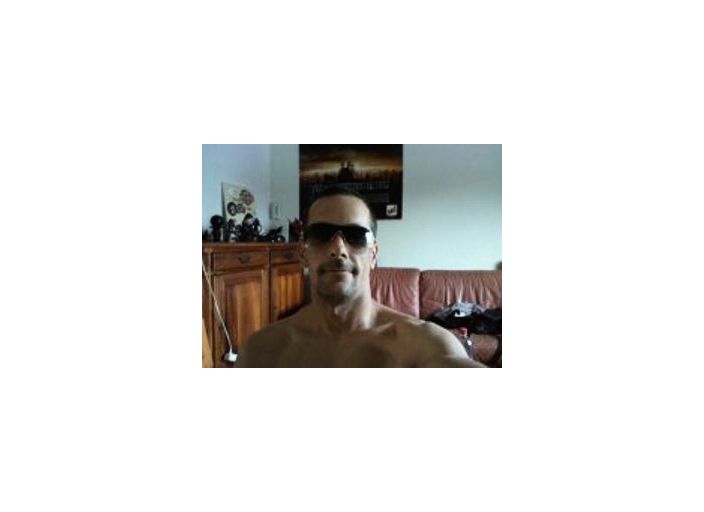dingo