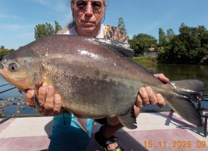 poisson221