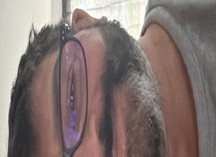nounours