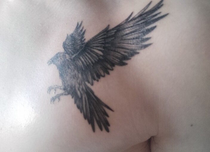 MrCrow