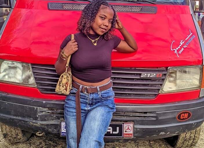 lionnette31