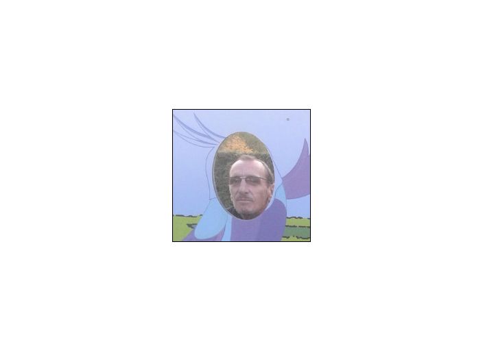pitousax